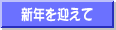 VN}