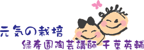 元気の栽培 緑寿園陶芸講師 千葉英輔
