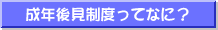 N㌩xĂȂɁH